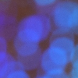 Bokeh-303